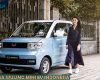 Harga Wuling Mini EV Indonesia