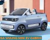 Harga Wuling Mini EV Cabrio dari Review Spesifikasi dan Fitur