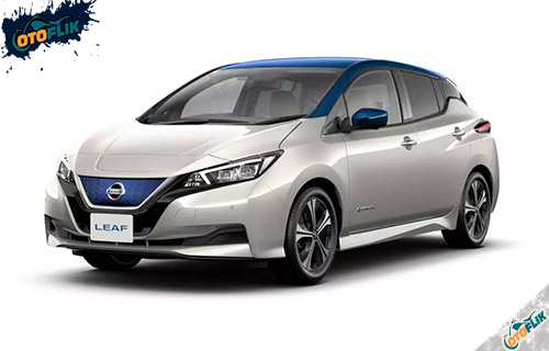 Nissan Leaf White Pearl With Blue Roof
